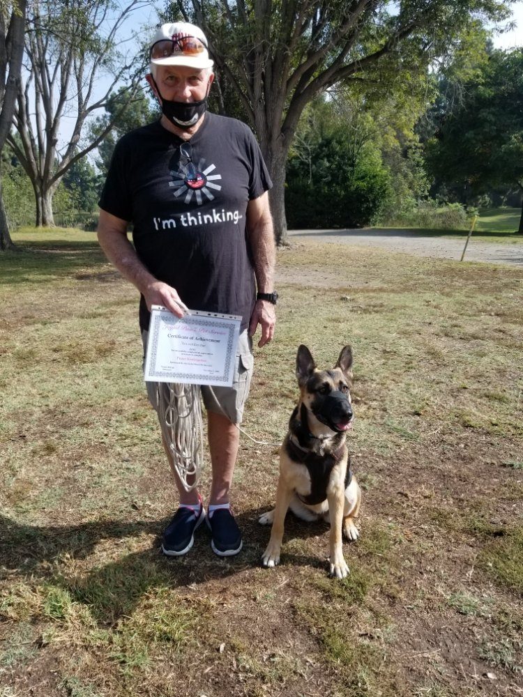 german shepherd training certificate