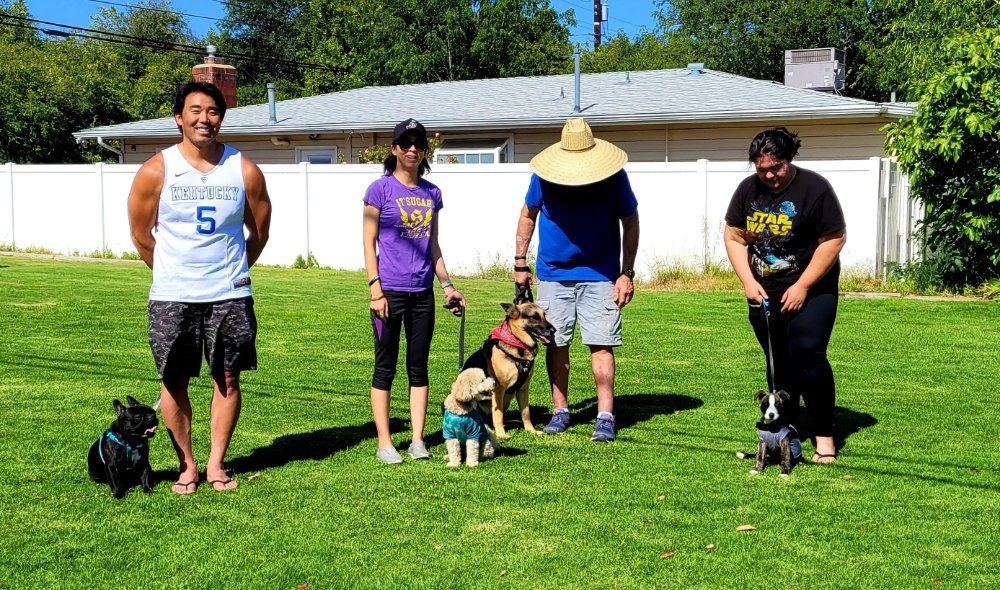 group training class lawn